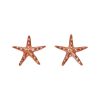 Aretes estrella de mar, joyeria en plata, pendientes elaborados con plata ecologica eden joyas