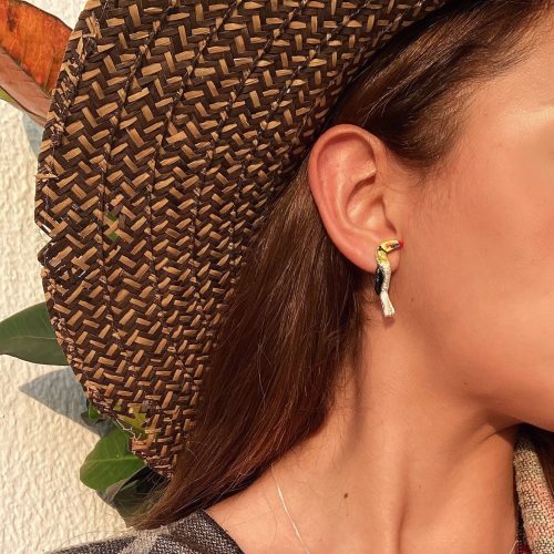 Aretes Tucán