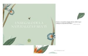 Tarjeta de Amor y Amistad