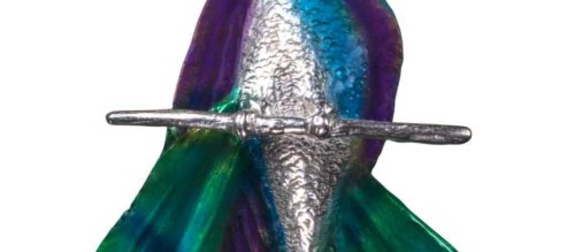 DSC_4786 -500x500 copia