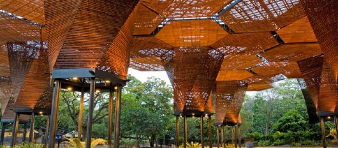 Lapiz de Acero al orquideorama del Jardin Botanico Medellin