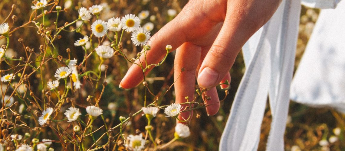 Nueva colección collar, aretes y pulsera Margarita.
